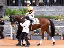 ����å��ǳ��������ɽ�����ޤ�