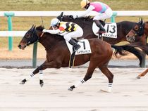 ����å��ǳ��������ɽ�����ޤ�