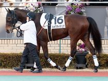 ����å��ǳ��������ɽ�����ޤ�