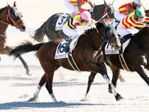 ����å��ǳ��������ɽ�����ޤ�