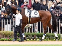 ����å��ǳ��������ɽ�����ޤ�