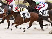 ����å��ǳ��������ɽ�����ޤ�