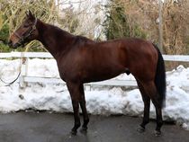 ����å��ǳ��������ɽ�����ޤ�