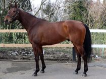 ����å��ǳ��������ɽ�����ޤ�