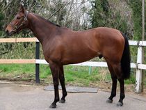 ����å��ǳ��������ɽ�����ޤ�