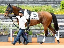 ����å��ǳ��������ɽ�����ޤ�