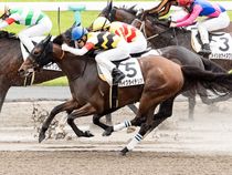 ����å��ǳ��������ɽ�����ޤ�