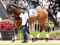 ����å��ǳ��������ɽ�����ޤ�