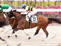 ����å��ǳ��������ɽ�����ޤ�