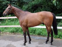 ����å��ǳ��������ɽ�����ޤ�