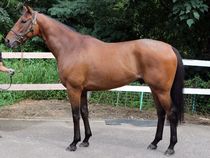 ����å��ǳ��������ɽ�����ޤ�