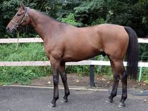 ����å��ǳ��������ɽ�����ޤ�