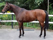 ����å��ǳ��������ɽ�����ޤ�