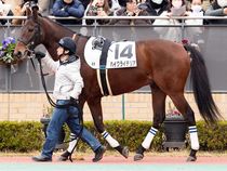 ����å��ǳ��������ɽ�����ޤ�