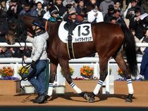 ����å��ǳ��������ɽ�����ޤ�