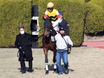 ����å��ǳ��������ɽ�����ޤ�