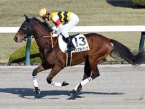 ����å��ǳ��������ɽ�����ޤ�