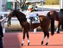 ����å��ǳ��������ɽ�����ޤ�