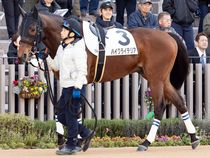 ����å��ǳ��������ɽ�����ޤ�