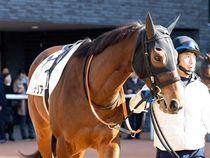 ����å��ǳ��������ɽ�����ޤ�