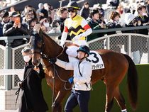 ����å��ǳ��������ɽ�����ޤ�