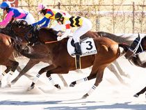 ����å��ǳ��������ɽ�����ޤ�