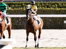 ����å��ǳ��������ɽ�����ޤ�