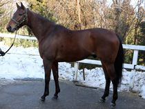 ����å��ǳ��������ɽ�����ޤ�