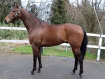 ����å��ǳ��������ɽ�����ޤ�