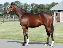 ����å��ǳ��������ɽ�����ޤ�