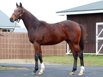 ����å��ǳ��������ɽ�����ޤ�