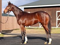 ����å��ǳ��������ɽ�����ޤ�