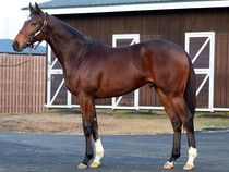 ����å��ǳ��������ɽ�����ޤ�