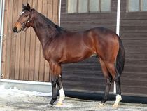 ����å��ǳ��������ɽ�����ޤ�