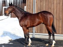 ����å��ǳ��������ɽ�����ޤ�