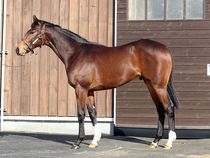 ����å��ǳ��������ɽ�����ޤ�