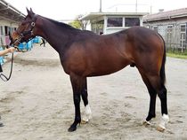 ����å��ǳ��������ɽ�����ޤ�