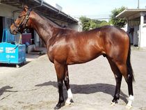 ����å��ǳ��������ɽ�����ޤ�