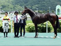 ����å��ǳ��������ɽ�����ޤ�