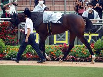 ����å��ǳ��������ɽ�����ޤ�