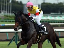 ����å��ǳ��������ɽ�����ޤ�