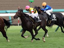 ����å��ǳ��������ɽ�����ޤ�