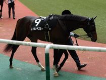 ����å��ǳ��������ɽ�����ޤ�