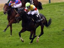 ����å��ǳ��������ɽ�����ޤ�