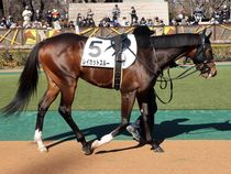 ����å��ǳ��������ɽ�����ޤ�