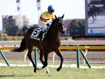 ����å��ǳ��������ɽ�����ޤ�