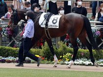 ����å��ǳ��������ɽ�����ޤ�