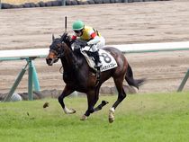 ����å��ǳ��������ɽ�����ޤ�