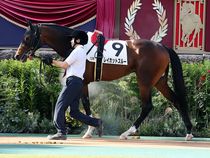 ����å��ǳ��������ɽ�����ޤ�