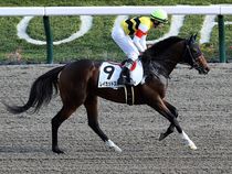 ����å��ǳ��������ɽ�����ޤ�